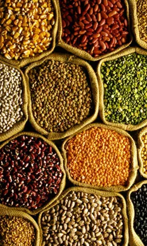 Millets - Next Generation Smart Food