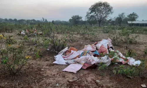 Unused Bhadradri Talambralu buried in temple lands