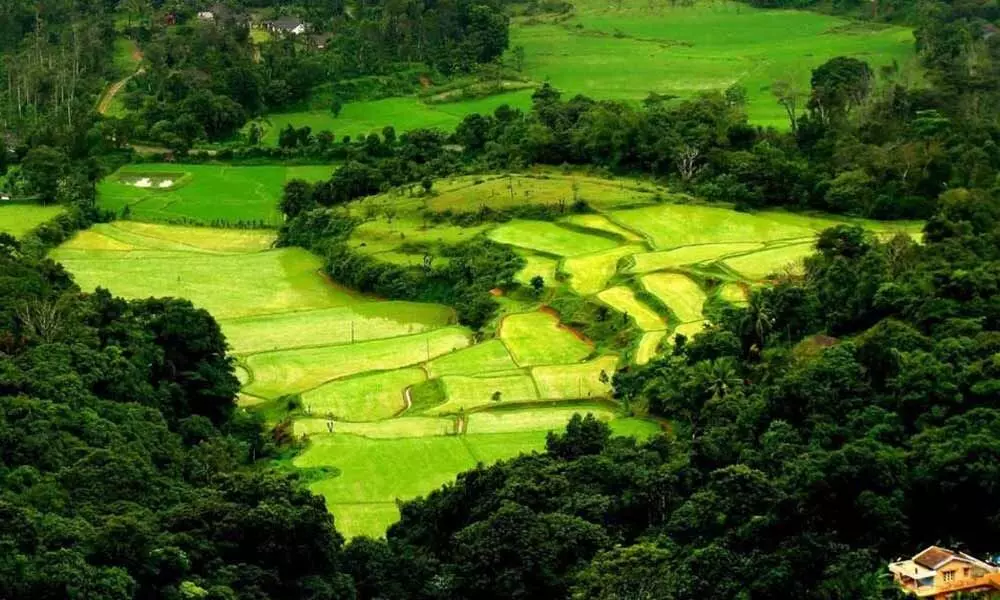 Top things to do when in Coorg