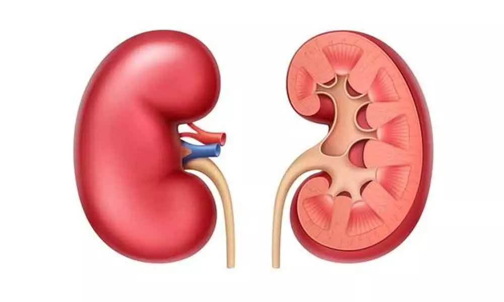 Increase in weight-gain tied to kidney ailments