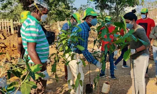 Green Peace India, IRSDCL take up plantation drive at KSR railway station