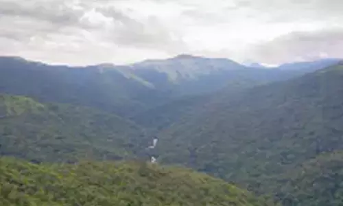 Wildlife Board member suggests relocation of 8 villages to protect elephants