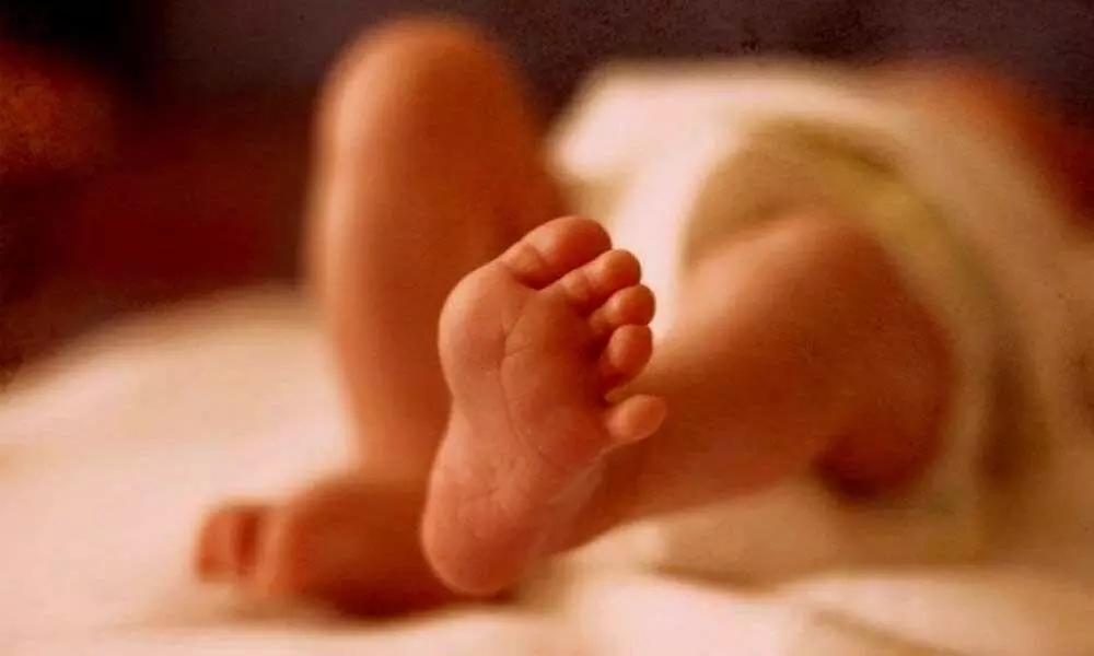 Newborn girl found abandoned in auto in Hyderabad