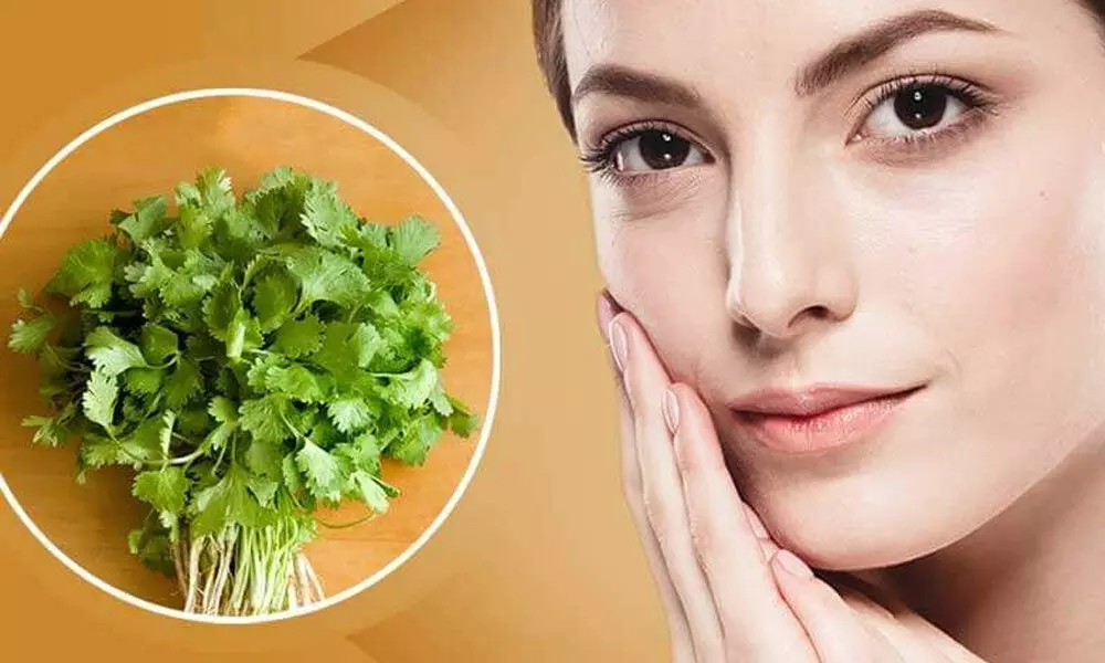 The magic of coriander in skincare