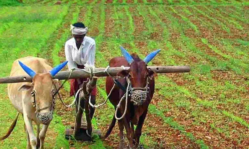 Demand for higher funds for agriculture