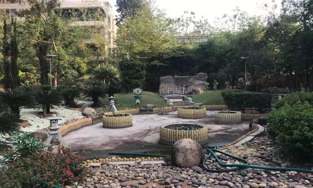 Japanese Garden park in plush Jubilee Hills is getting worse