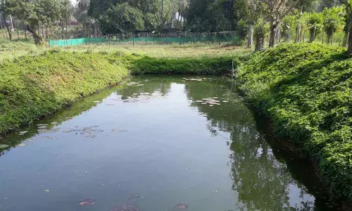 Zoo Park to rear fish to feed its carnivorous