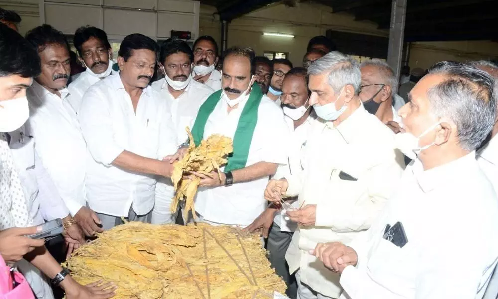Minister Balineni Srinivasa Reddy inspecting tobacco auction in Ongole-2 auction centre on Monday