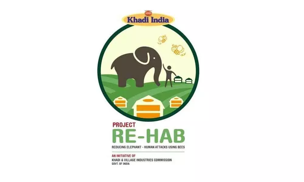 KVIC rolls out Project RE-HAB using honeybees