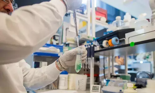 Laxmi Organic Industries IPO: Opens Today; Find key details before subscribing