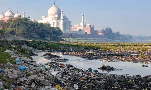 Dying Yamuna needs urgent help, say green activists