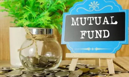 Adani stocks characterised by similar set of FPIs, low mutual fund holdings