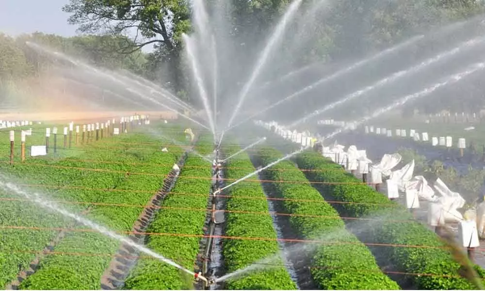 More funds to be pumped into irrigation sector