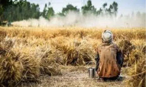 35 yrs after first peasant’s suicide, farmers still at crossroads