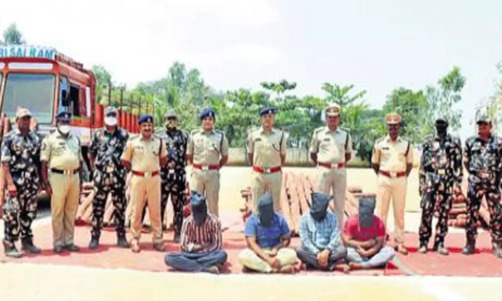 Chittoor: Police seizes Red Sandalwood logs worth Rs. 2.5 crore, four smugglers held