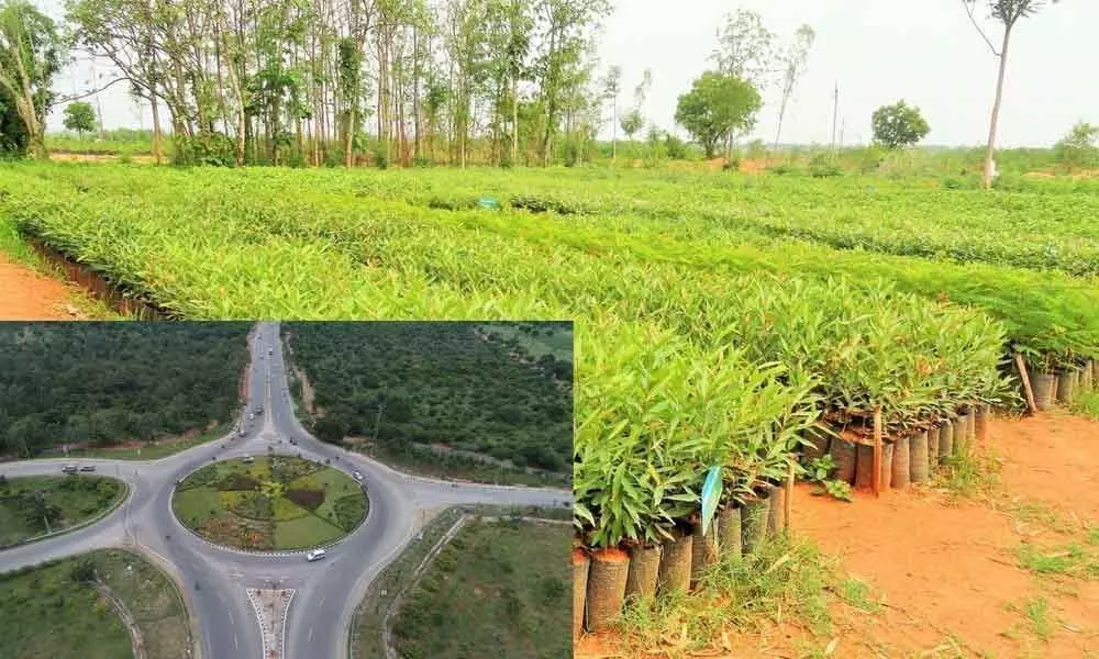 GHMC identifies 1,760 acres for plantation