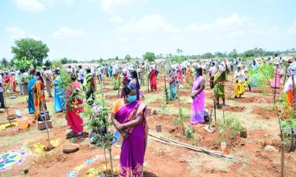 Forest cover goes up by 3.67% in Telangana