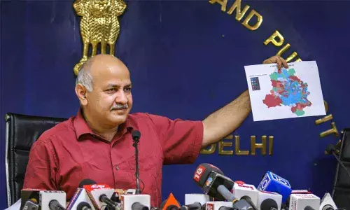 Government in Delhi means Lieutenant Governor