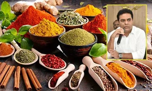 Land for food processing zones identified: KTR