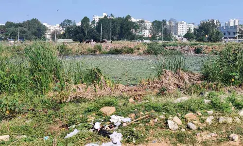 Shikaripalya lake gasps for survival as netas fail to keep election promise