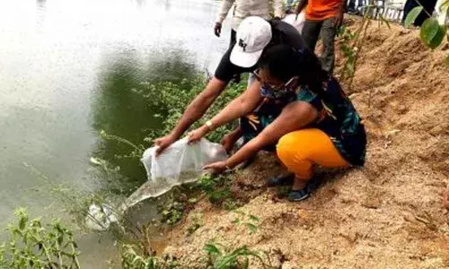 Hyderabad: Teachers, students give fresh lease of life to lake