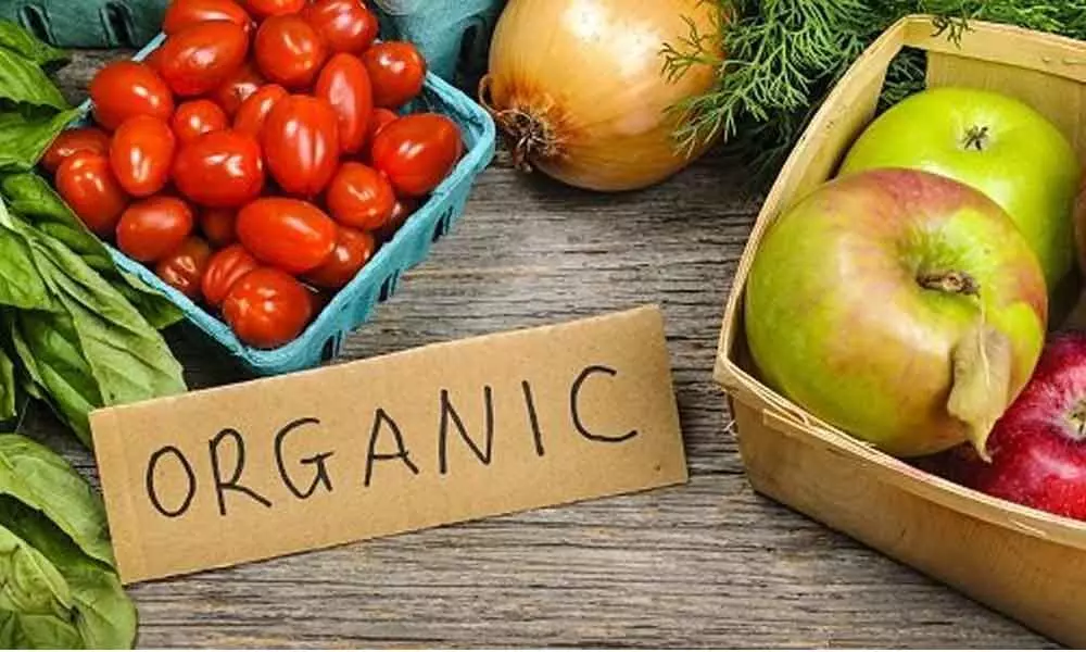 Telangana to promote organic farming