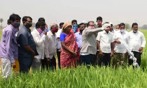 District Collector S Venkat Rao