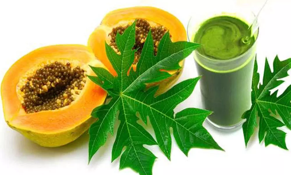 Papaya leaf juice