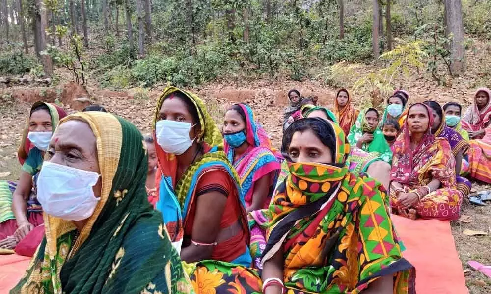 Odisha women lead as green warriors