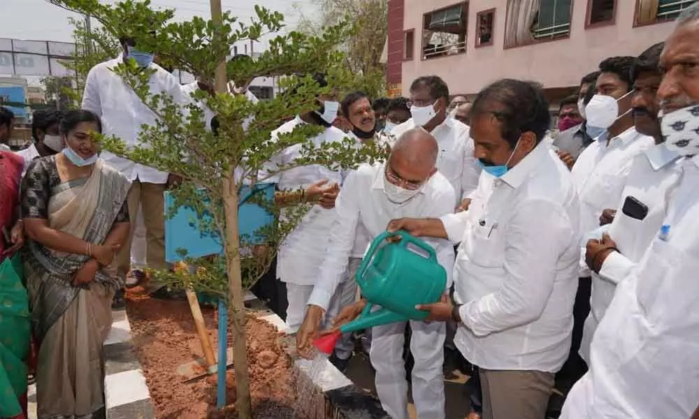 K Kanna Babu and Krishna watering a plant at VL Puram in Rajamahendravaram on Sunday. MP Bharat also seen