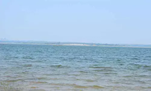 17 rivers in State polluted, says CPCB report