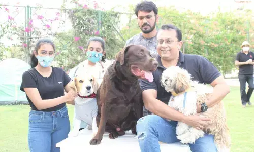 ‘The Paw Walk’ entertains pet lovers