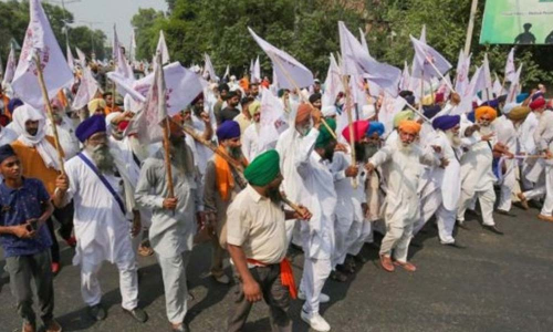 Supreme Court-appointed panel on farm laws submits report