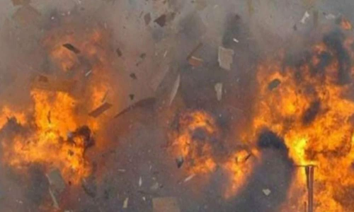 Country bomb explodes at Tirupati SV University, one stray dog and wild boar dead