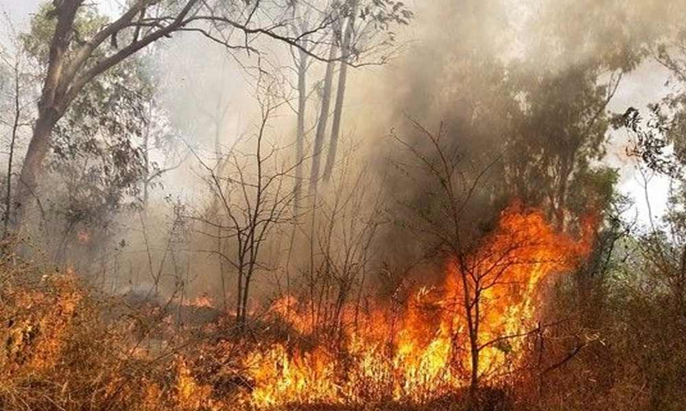 Shrub fire breaks out at Bengaluru University