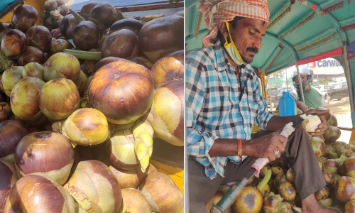 Summer is here, and so are munjalu!