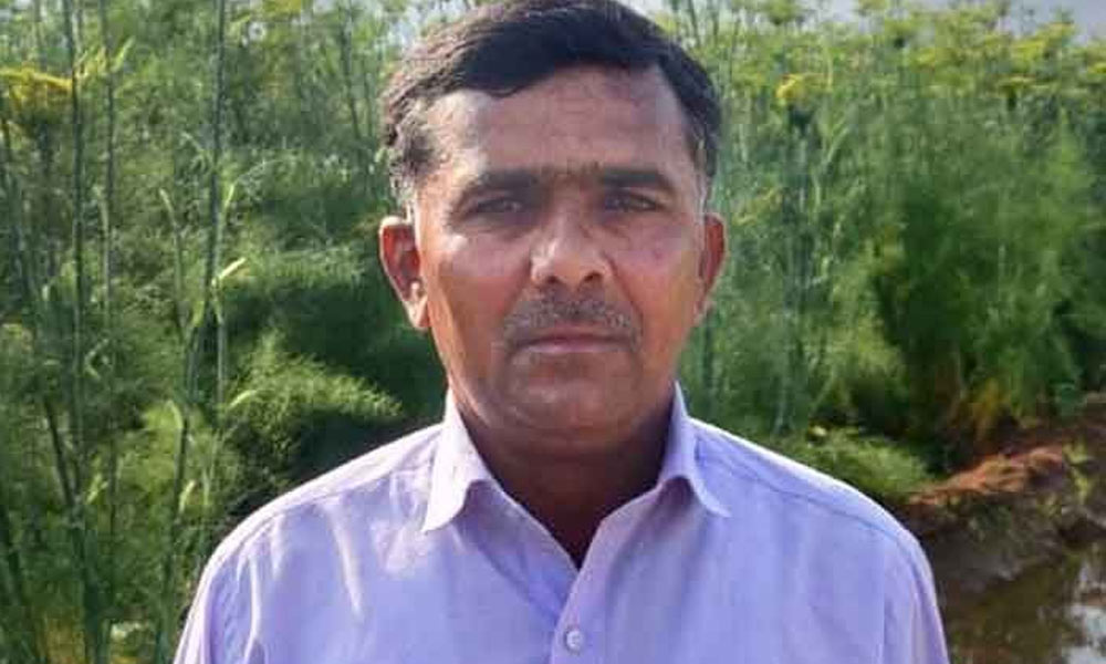 This Raj farmer makes a mark through crop engineering