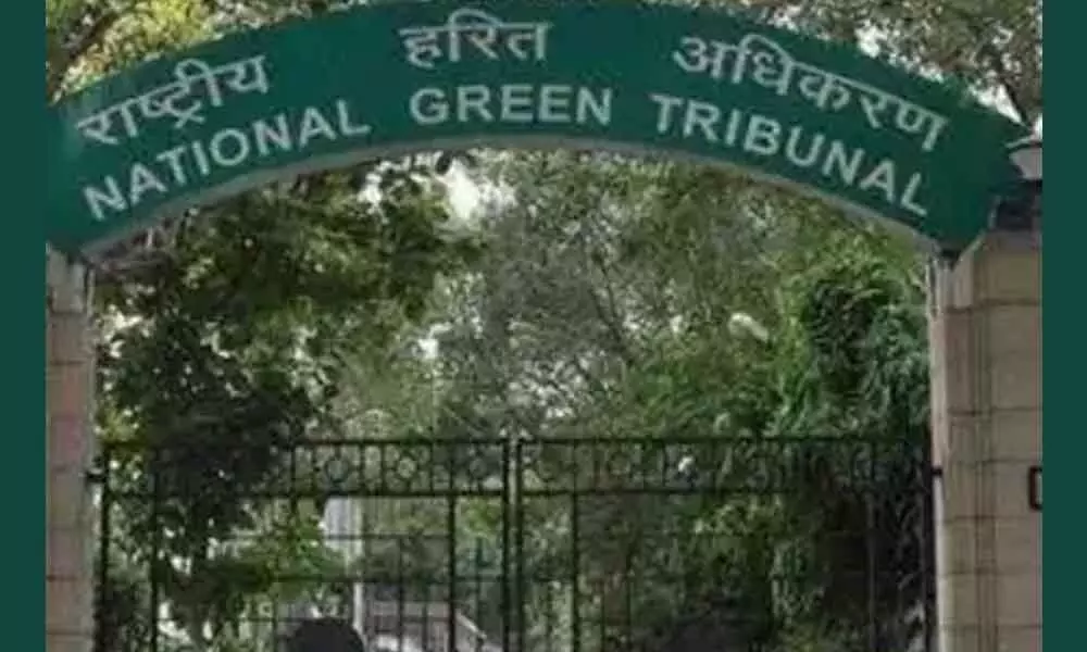 NGT directs Delhi CS to resolve SDMC-DJB dispute