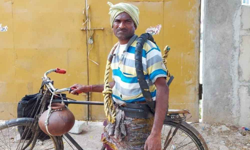 Old, but toddy tappers say no to ‘climb down’