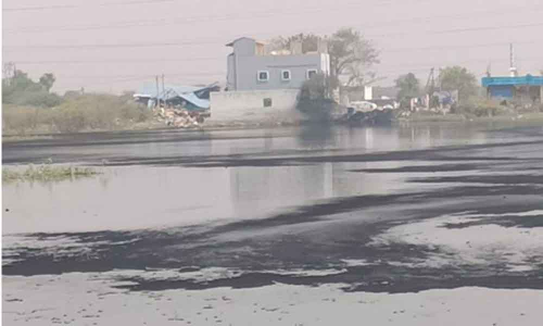 Effluents leave Jalpally lake gasping for breath