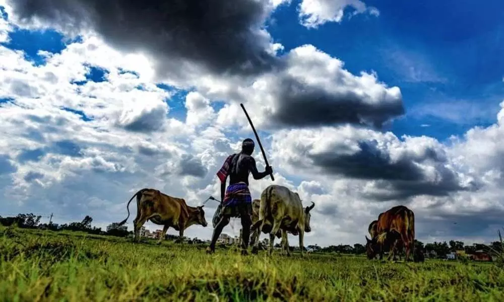 The farmers da Vinci of Karnataka who swears by the Sun