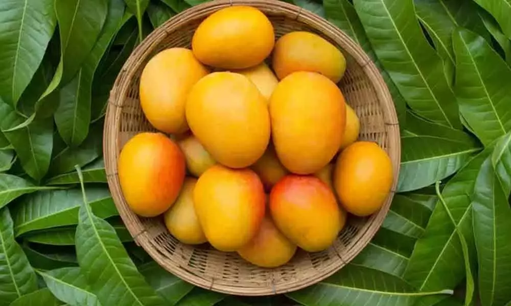 Juicy mangoes hit market, prices reach sky