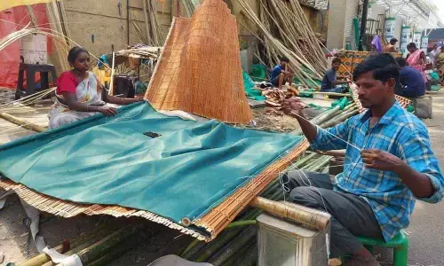 Go for green, get natural shade