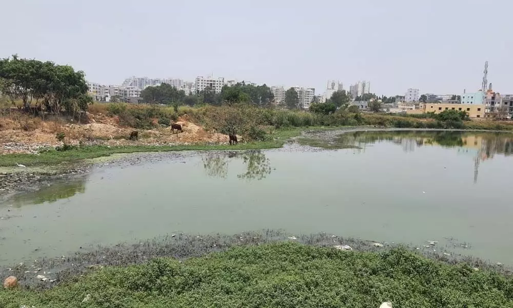 After public outcry, authorities wake up to rejuvenate Shikaripalya lake