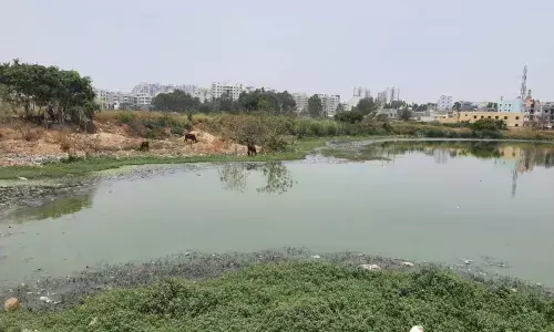 After public outcry, authorities wake up to rejuvenate Shikaripalya lake