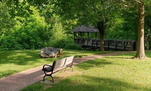 Andhra Pradesh: Municipal dept. gears up to construct 125 parks in 32 municipalities