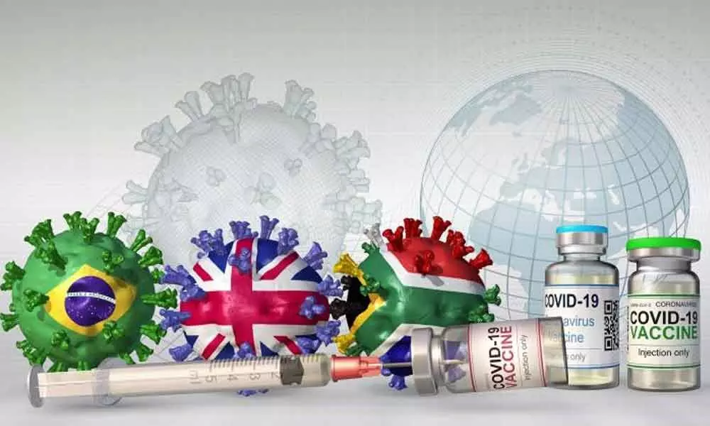 Decision on foreign vaccines in 3 days