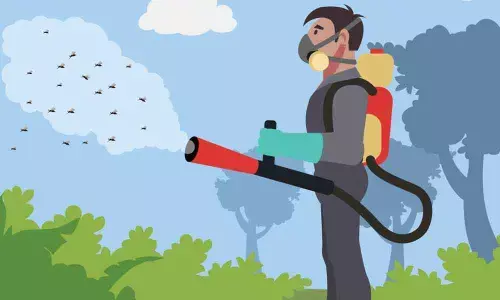 Mosquito menace; residents squeal against official apathy