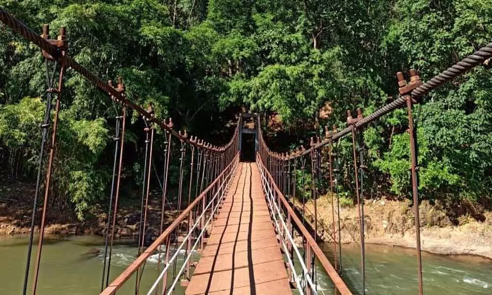 Wooden bridge on a stream at Maredumilli in the Agency area