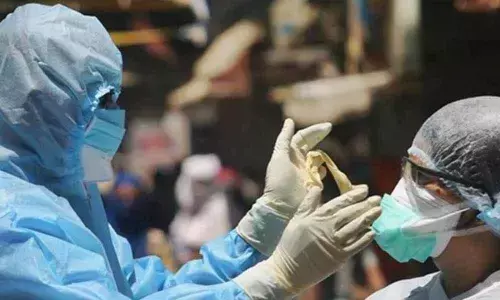 246 new Covid cases logged in Krishna district